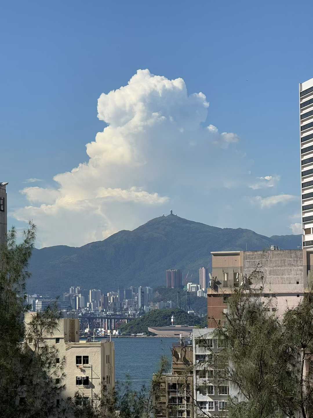 HK photo 9