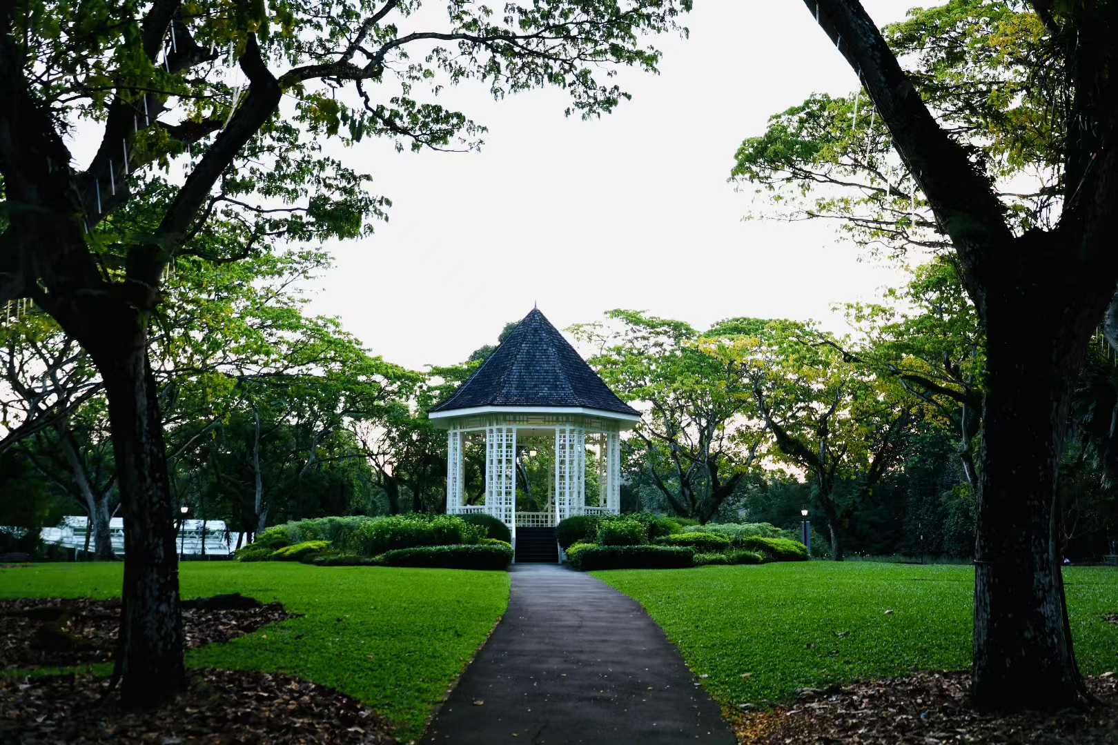 Singapore photo 8