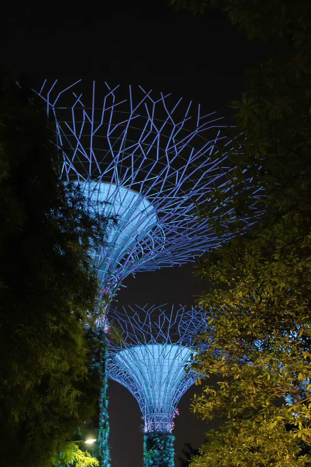 Singapore photo 9